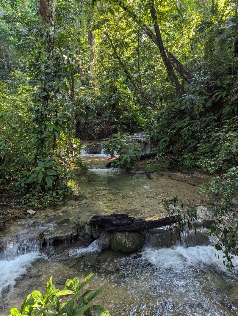 Kleiner aber kühler Fluss der sich durch den Dschungel windet