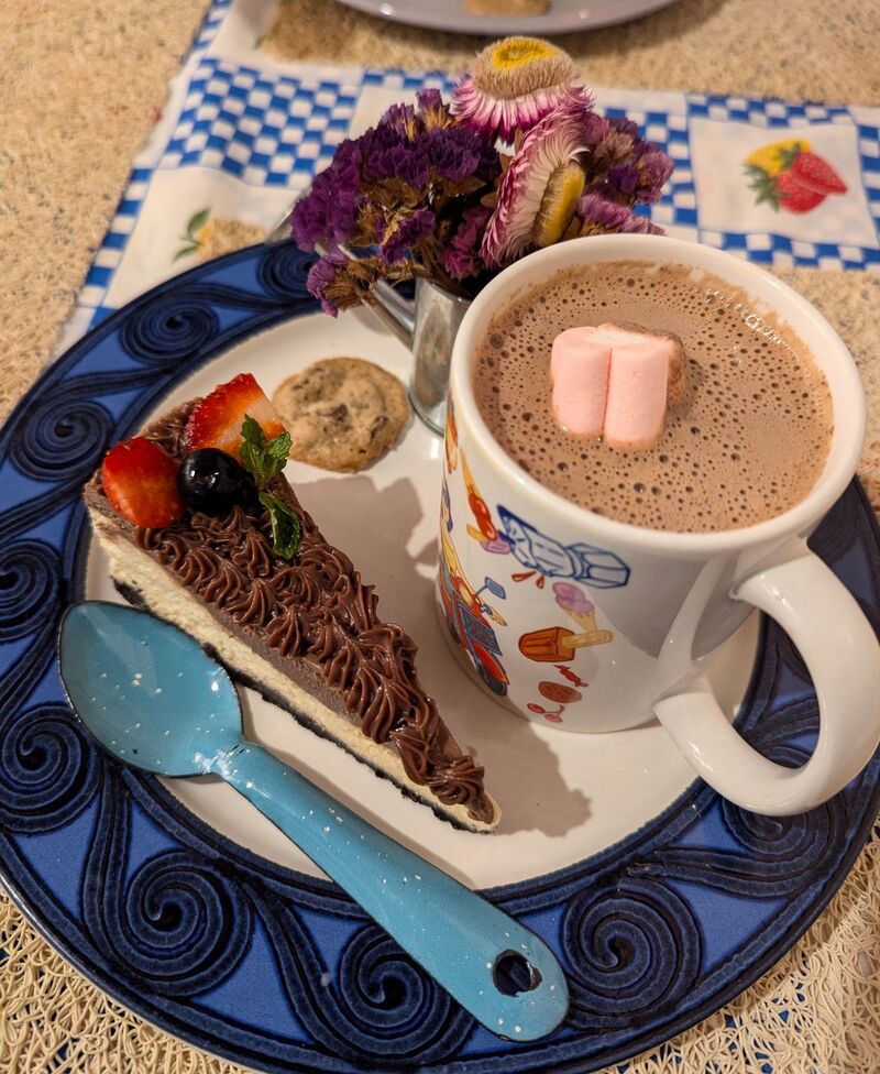 Nutella Cheesecake mit einer heissen Schoggi