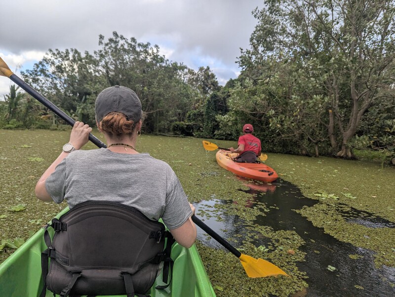 Zweite Runde Kayakfahren, hier in einem Teppich von Grünzeugs, sah aus als könnte man darauf gehen, so dicht war es.