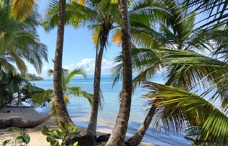 Bocas Del Toro: Strandparadies der Karibik