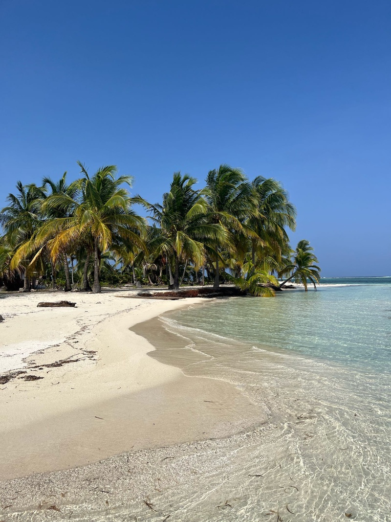 Einer der viele Strände auf irgendeiner San Blas Insel, welche wissen wir auch nicht mehr.