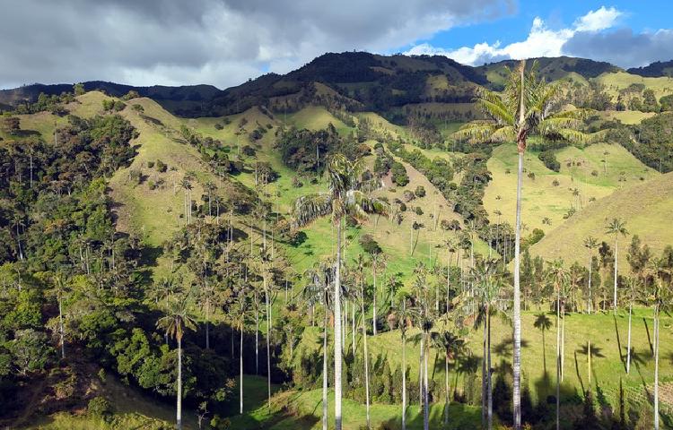 Jardín, Salamina und Mirador de la Samaria: Hübsche Städtchen und viel Natur