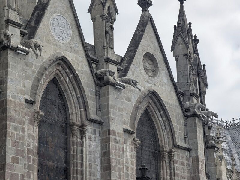 Tierische Wasserspeier auf der Südamerikanischen Notre Dame.