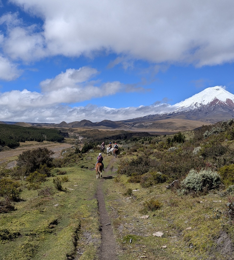 Blick auf den Cotopaxi sowie das Tal mit kleinem Fluss, zu dem wir gerade hinunter reiten.