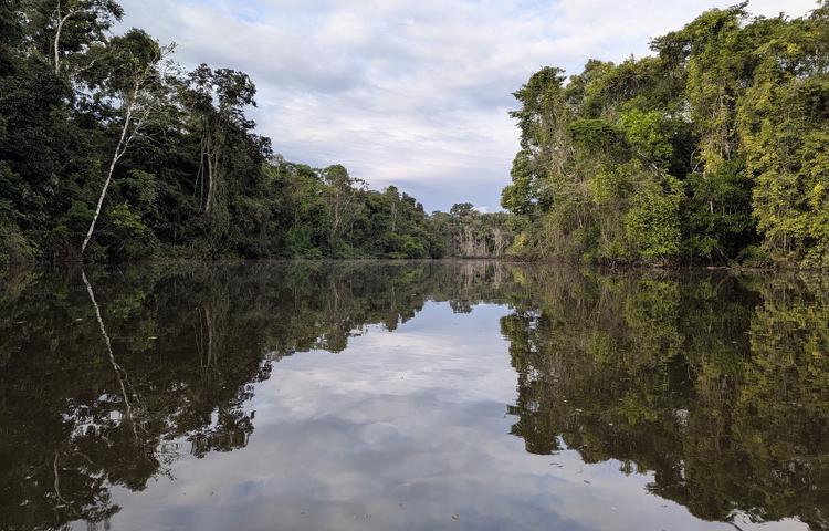 Cuyabeno-Wildtierreservat: Regenzeit im ecuadorianschen Amazonas