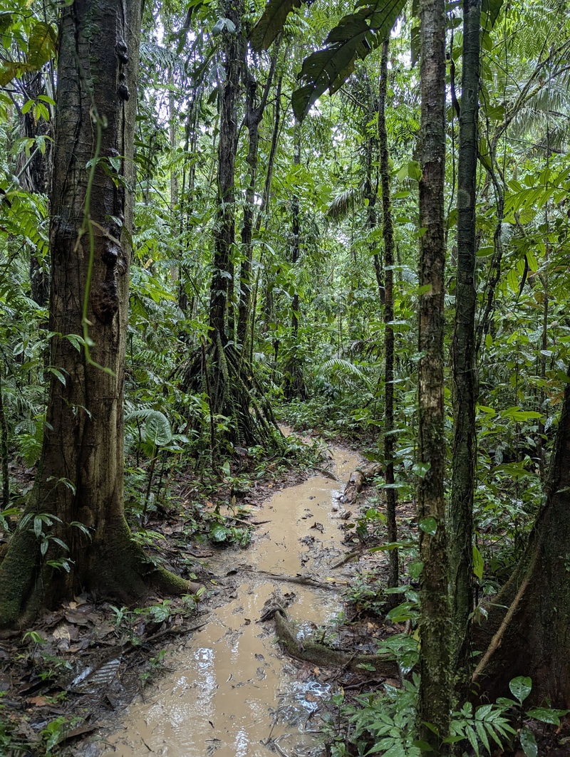 Durch den Regen waren die Wege oft von Wasser geflutet. Gummistiefel gehören hier zur Standardausrüstung.