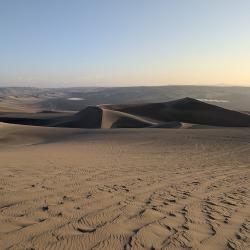 Lima, Paracas und Huacachina: Die letzten Tage auf Meereshöhe in Peru