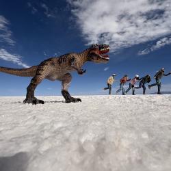 Uyuni: Die grösste Salzwüste der Welt
