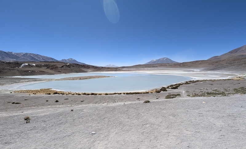 Immer wieder fuhren wir an Vicuñas vorbei, hier ist eine Gruppe auf der kleinen Halbinsel der Laguna Ukhuqucha unterwegs.