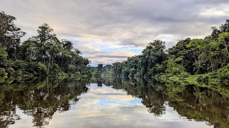 Irgendwo in den tiefen des Amazonas.